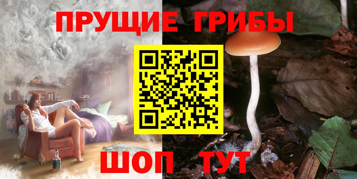 Псилоцибиновые грибы Magic Shrooms Партизанск